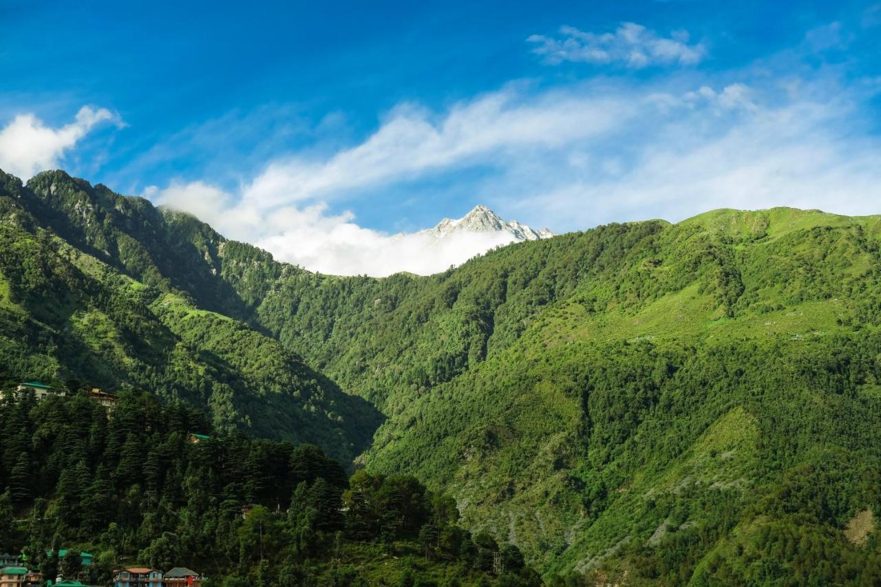 Mitra Mcleodganj Hostel McLeod Ganj Ngoại thất bức ảnh